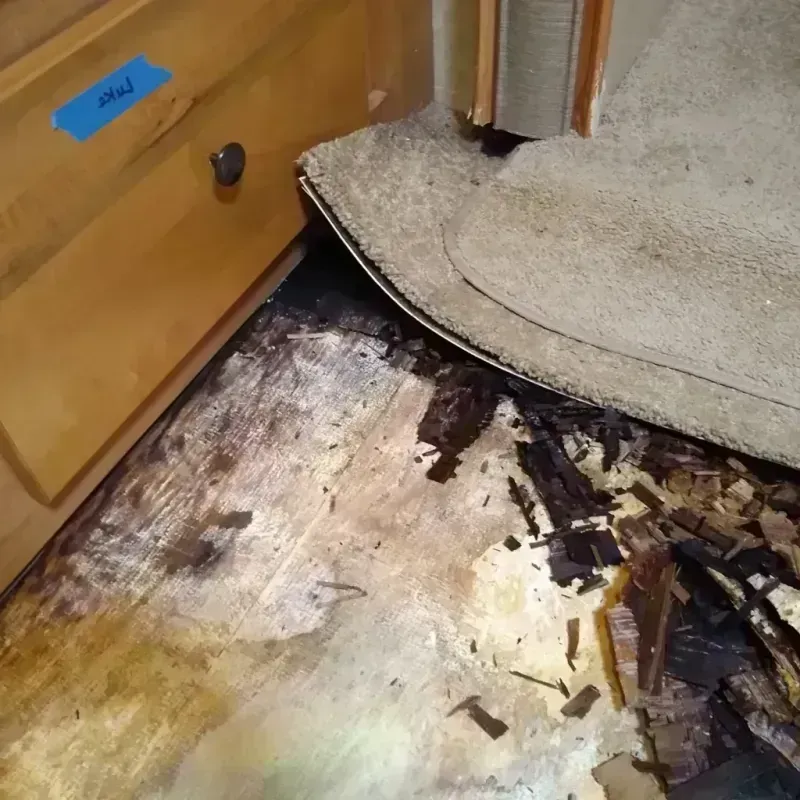 Best Wood Floor Water Damage Service in Stanton, NE